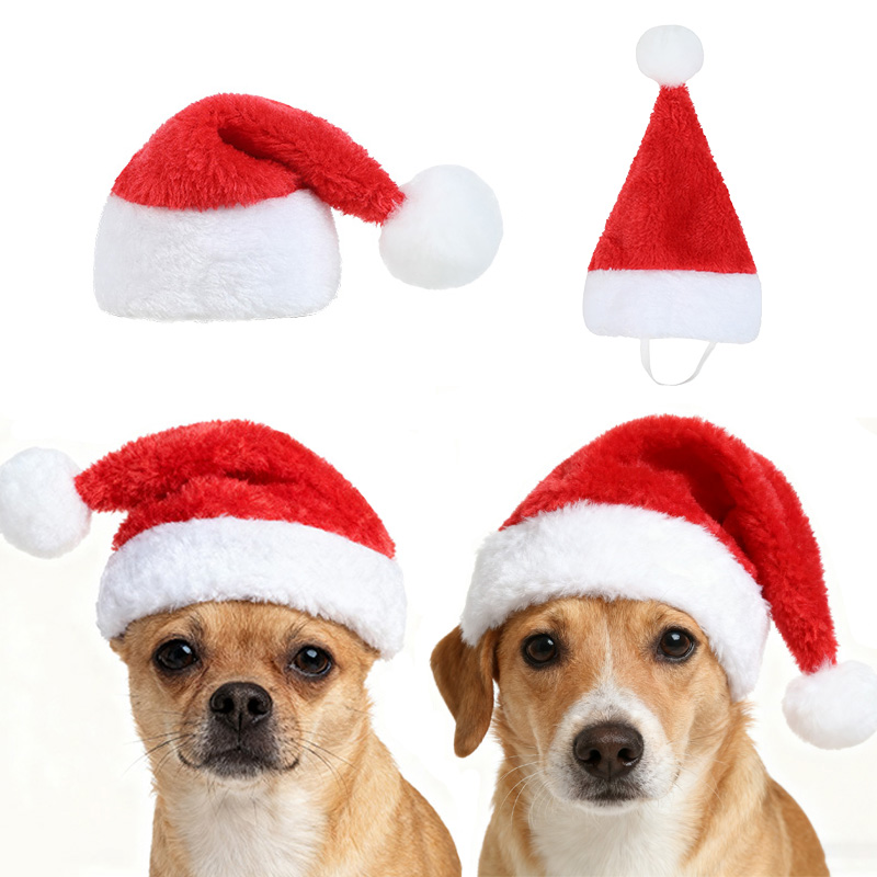 Topi Natal Hewan Peliharaan Sa - Santa Hat Plush ulasan dan harga